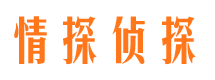 广州市私家侦探